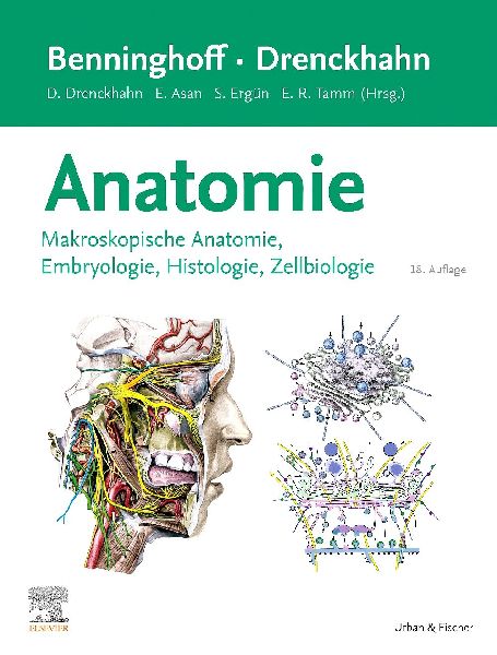 Benninghoff/Drenckhahn, Anatomie