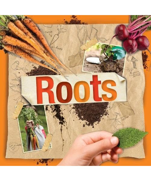 Roots