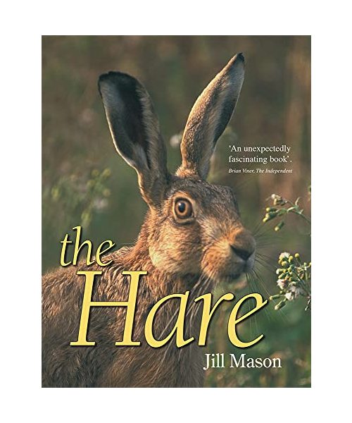 The Hare