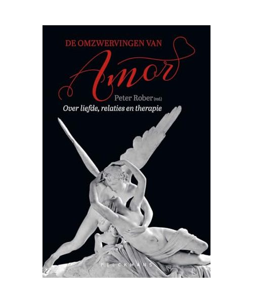 De omzwervingen van Amor: over liefde, relaties en therapie