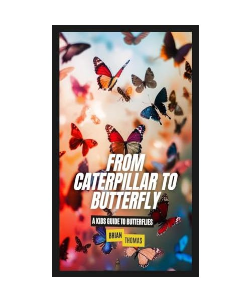 From Caterpillar to Butterfly: A Kids Guide to Butterflies