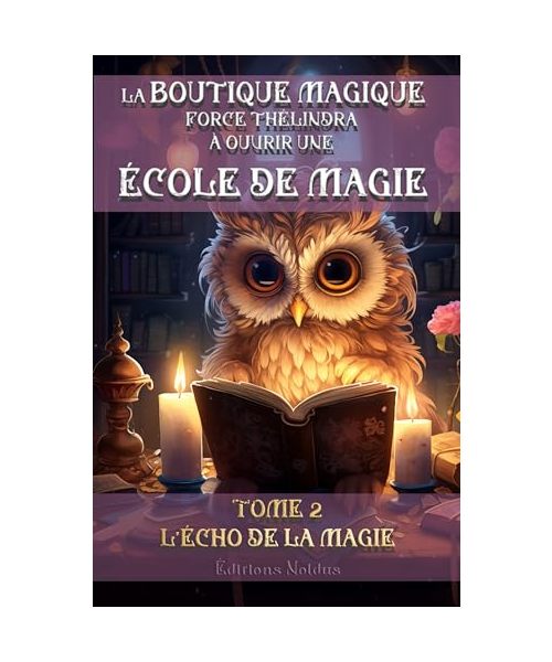 LA BOUTIQUE MAGIQUE FORCE THÉLINDRA À OUVRIR UNE ÉCOLE DE MAGIE TOME 2 L'ÉCHO DE LA MAGIE 10-14ans DYS: Jeunes magiciens et magiciennes en formation à ... Une aventure dans un monde de fiction.