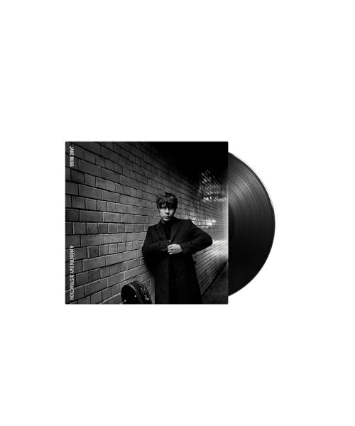 A Modern Day Distraction [Vinyl LP]