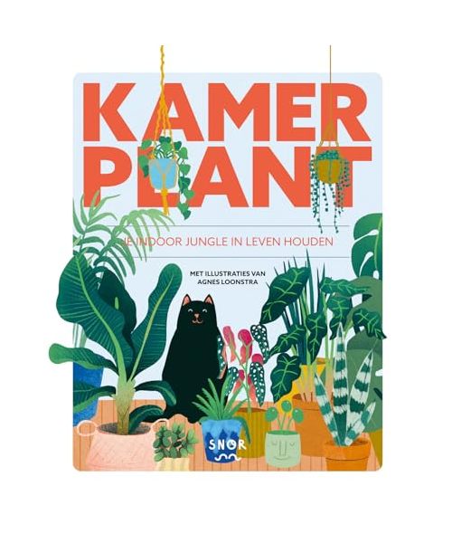Kamerplant: je indoor jungle in leven houden
