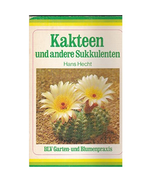 Kakteen und andere Sukkulenten.