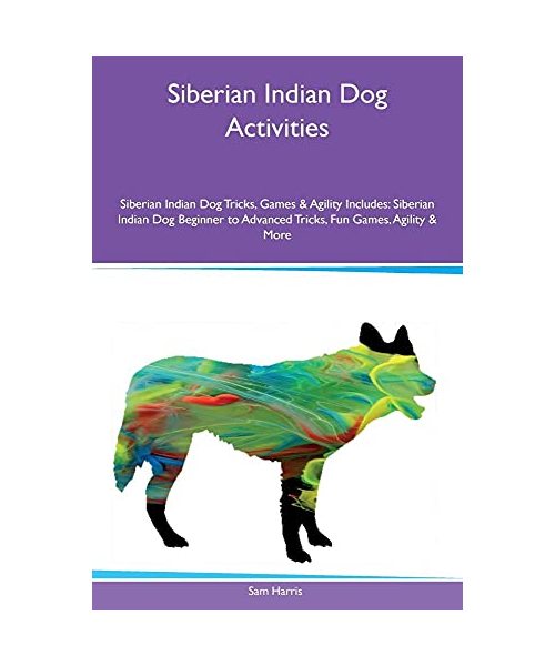 SIBERIAN INDIAN DOG ACTIVITIES