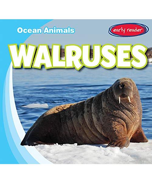 Walruses (Ocean Animals)