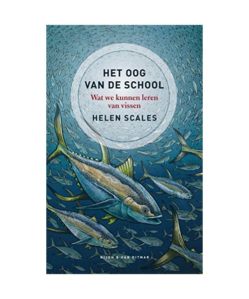 Het oog van de school: wat we kunnen leren van vissen