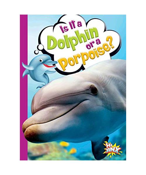 Is It a Dolphin or a Porpoise?