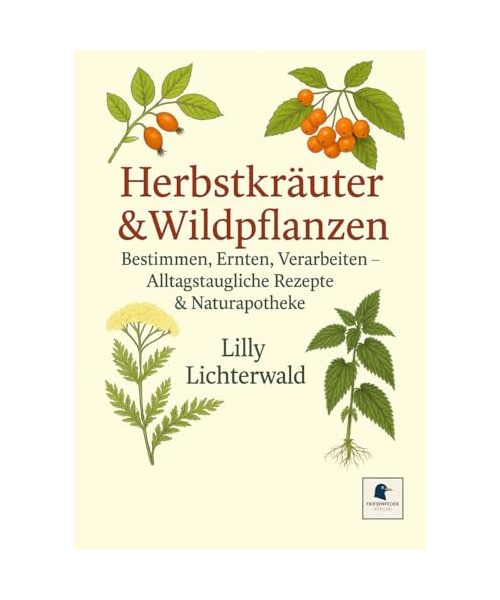 Herbstkräuter & Wildpflanzen – Bestimmen, Ernten, Verarbeiten: Alltagstaugliche Rezepte & Naturapotheke (August–November)