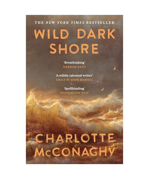 Wild Dark Shore