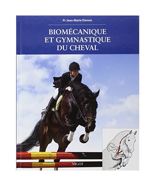 Biomécanique et gymnastique du cheval