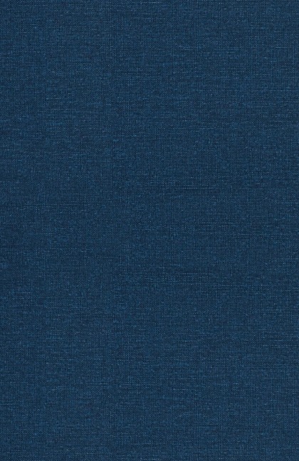 The Mentor's Guide: Fostering Meaningful Educational Relationships