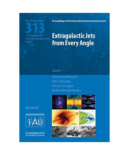 Extragalactic Jets from Every Angle (IAU S313)
