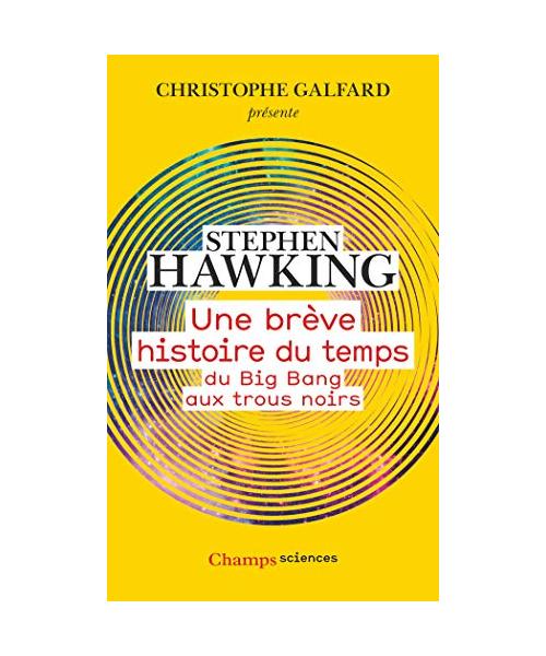 Une brève histoire du temps: Du Big Bang aux trous noirs
