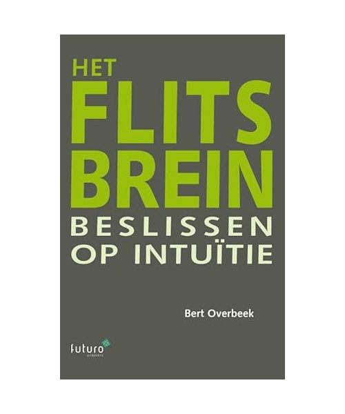 Het flitsbrein