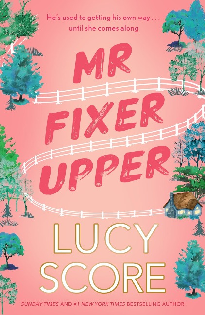 Mr Fixer Upper: the new romance from the 2023 bestselling Tiktok sensation!