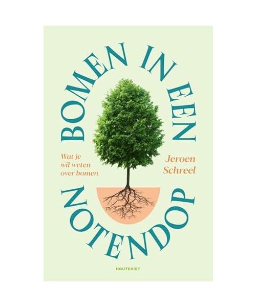 Bomen in een notendop: Wat je wil weten over bomen