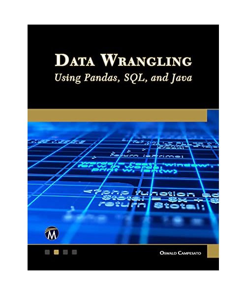 Data Wrangling Using Pandas, SQL, and Java