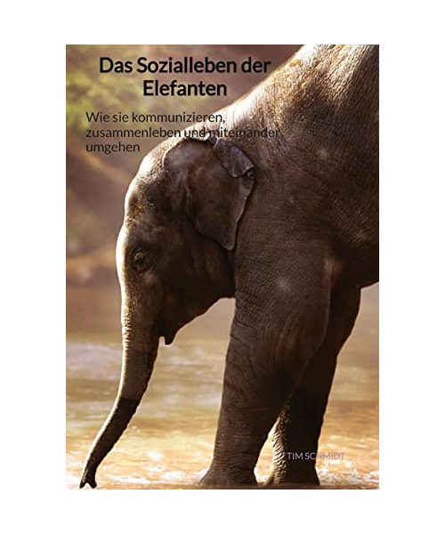 Das Sozialleben der Elefanten