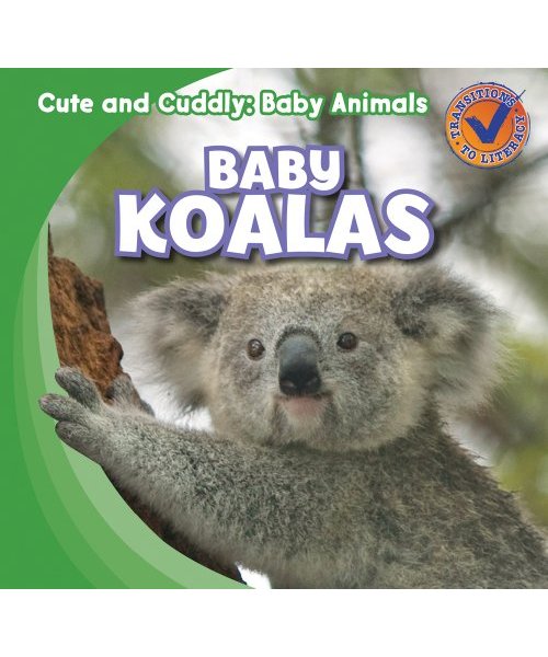 Baby Koalas