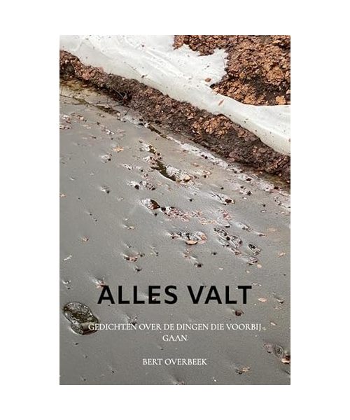Alles valt: Gedichten over de dingen die voorbij gaan