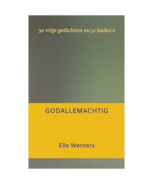 GRIJZE TOEKOMST GODALLEMACHTIG: drie ganzen vlogen over