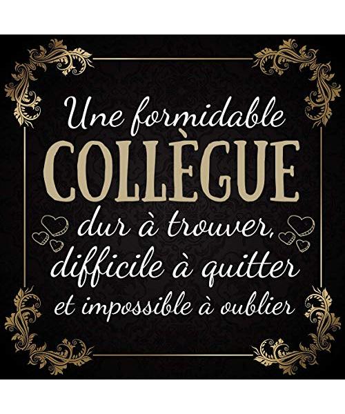 Une Formidable Collègue: livre d'or depart collegue Travail femme , cadeau depart retraite humoristique , à compléter de messages et photos , Alternative carte depart collegue