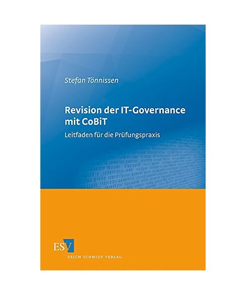 Revision der IT-Governance mit CoBiT