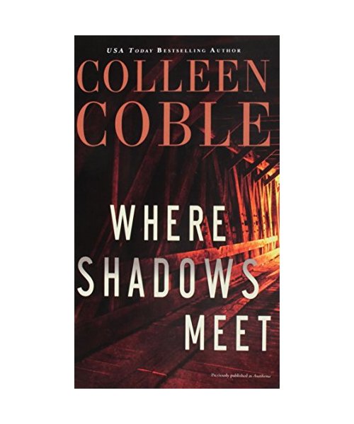 Where Shadows Meet: A Romantic Suspense Novel