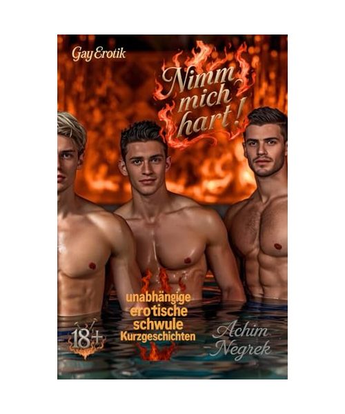 Nimm mich hart !: erotische Kurzgeschichten (schwul 18+)
