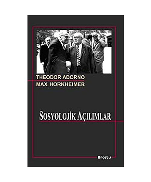 Sosyolojik Acilimlar