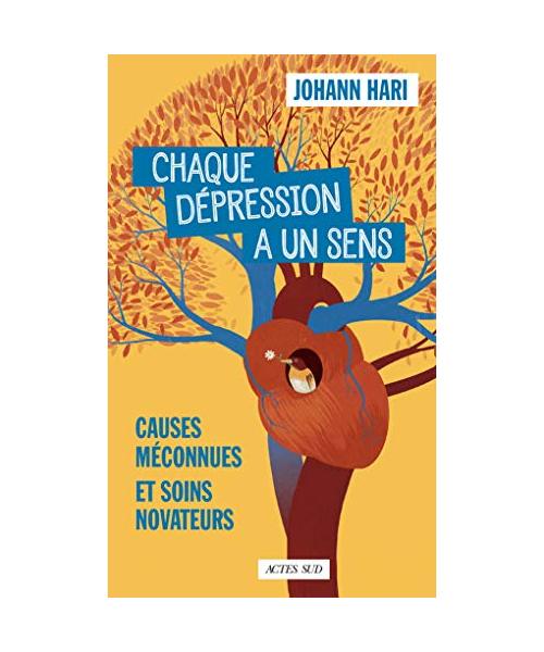 Chaque dépression a un sens: Causes méconnues et soins novateurs