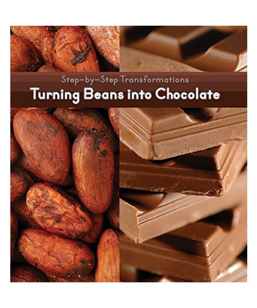 Turning Beans Into Chocolate