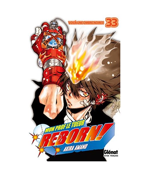 Reborn - Tome 33: Voilà une ombre noire !