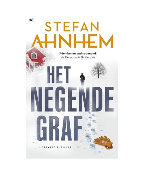 Het negende graf (Fabian Risk, 2)