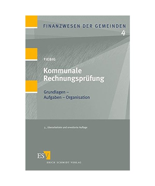 Kommunale Rechnungsprüfung: Grundlagen, Aufgaben, Organisation