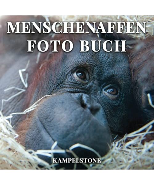 Menschenaffen Foto Buch: 100 süße Bilder von Affen