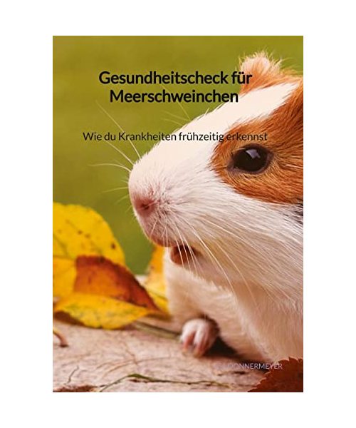 Gesundheitscheck für Meerschweinchen - Wie du Krankheiten frühzeitig erkennst