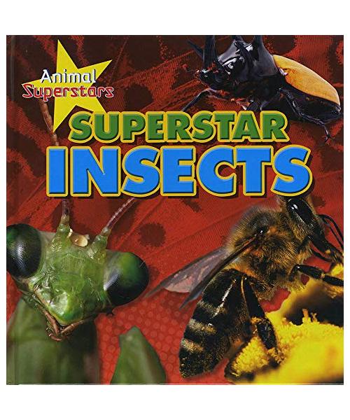 Insect Superstars