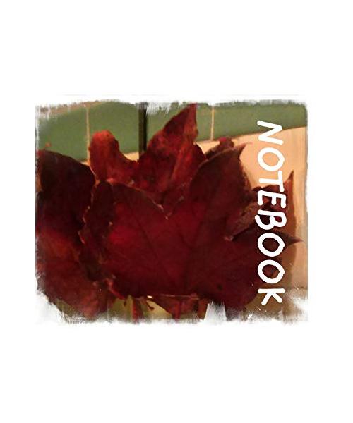 Beauty of The Season of Autumn: Autum Leaves
