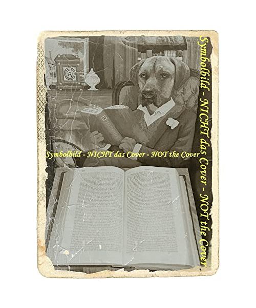 Leselöwen Delphingeschichten