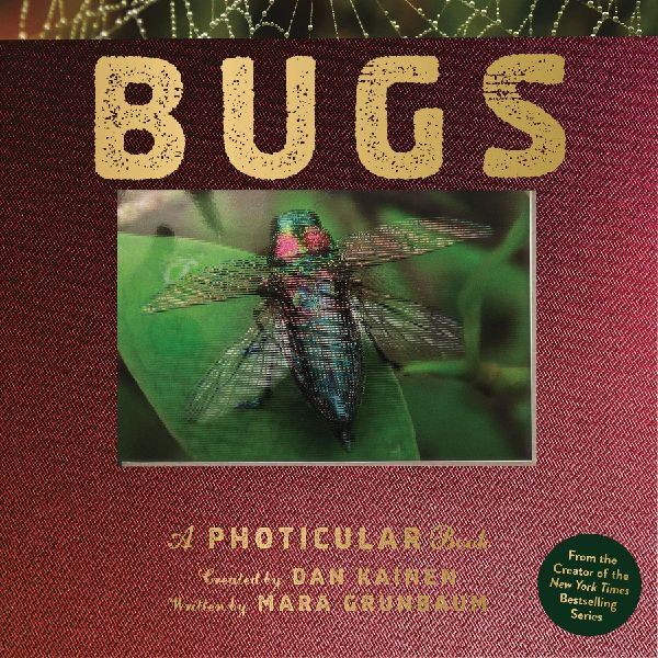 Bugs