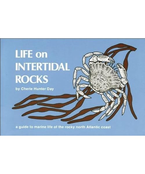 Life on Intertidal Rocks