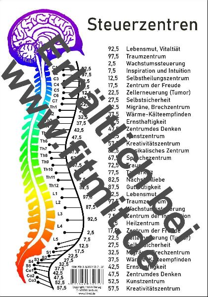 Steuerzentren Wirbelsäule