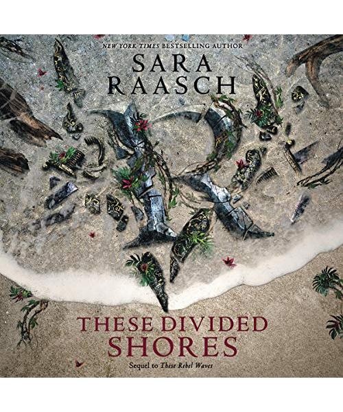 These Divided Shores (Stream Raiders, Band 2)