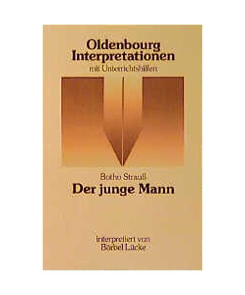 Oldenbourg Interpretationen, Bd.54, Der junge Mann