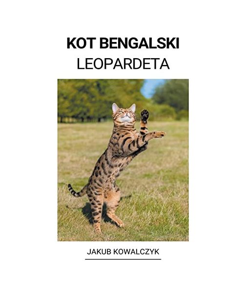 Kot Bengalski (Leopardeta)