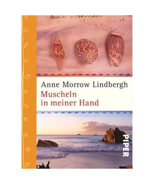 Muscheln in meiner Hand