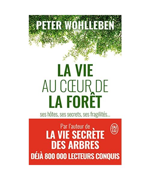 Vie au coeur de la forêt